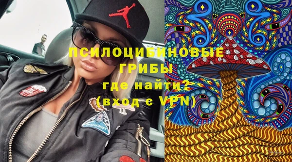 прущие грибы Каменск-Шахтинский