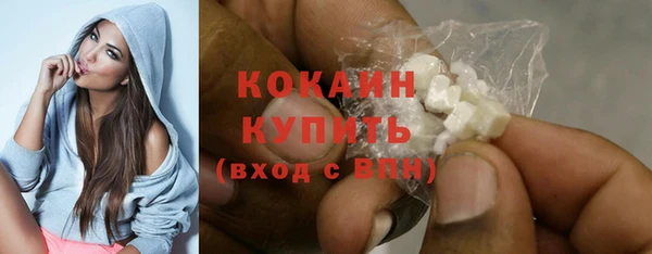 прущие грибы Каменск-Шахтинский
