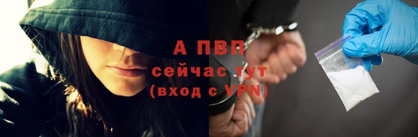 стаф Шадринск