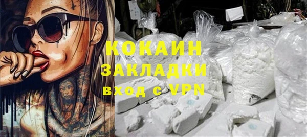 прущие грибы Каменск-Шахтинский