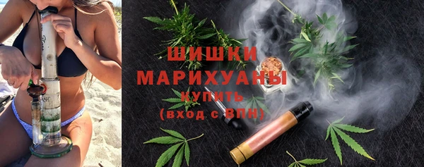 прущие грибы Каменск-Шахтинский
