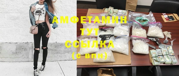 тгк Каменногорск
