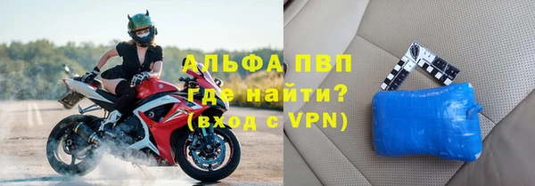 прущие грибы Каменск-Шахтинский