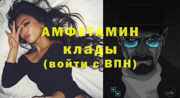 прущие грибы Каменск-Шахтинский